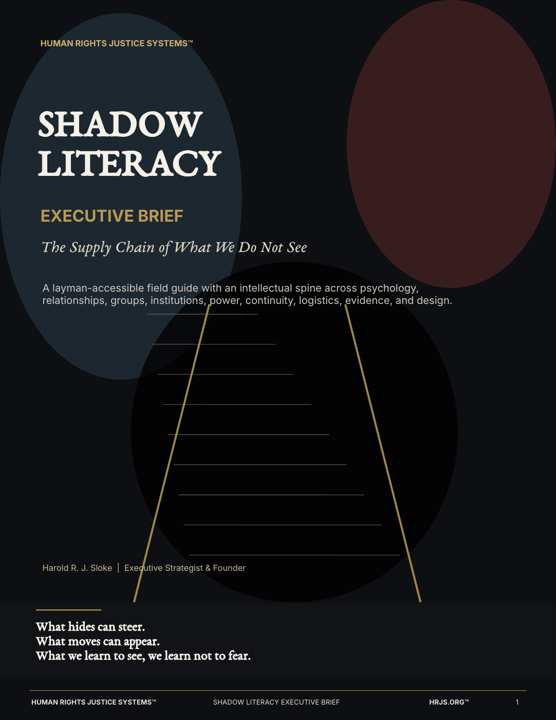 Shadow Literacy Executive Brief cover